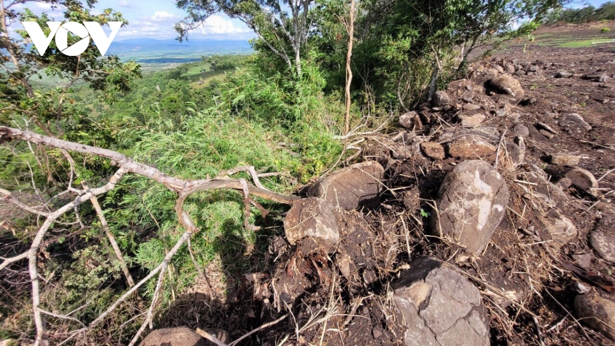 Tiếp tục khởi tố vụ án “huỷ hoại rừng” tại huyện Chư Sê, Gia Lai